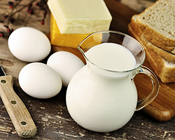 Allergieträger Milch, Eier, Brot, Käse